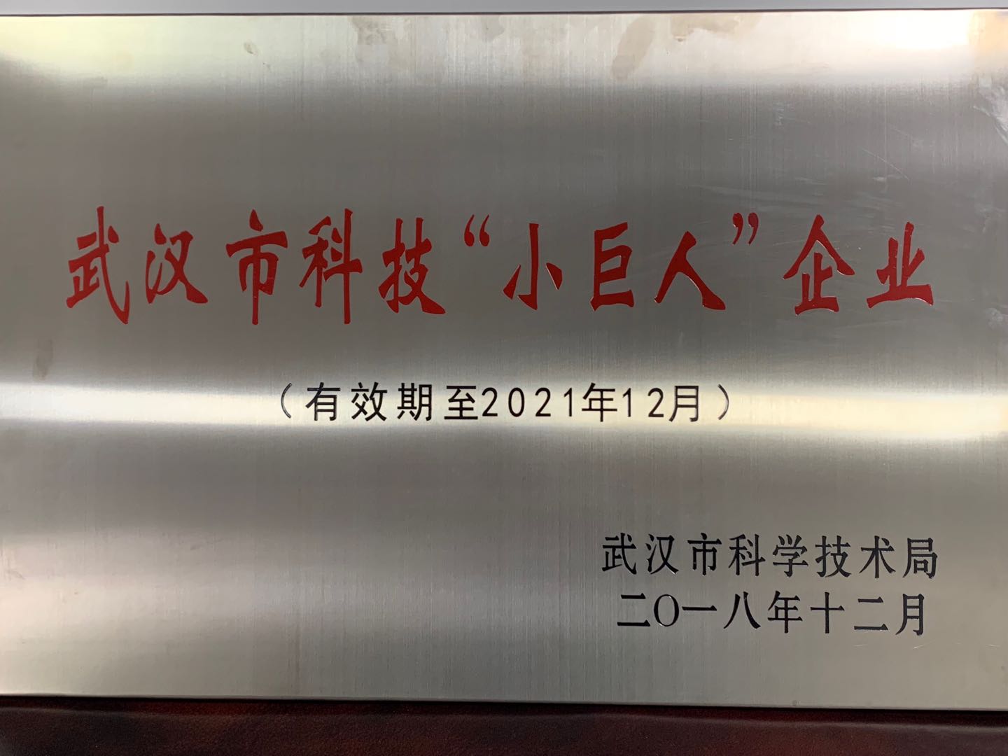 武汉市科技小巨人企业